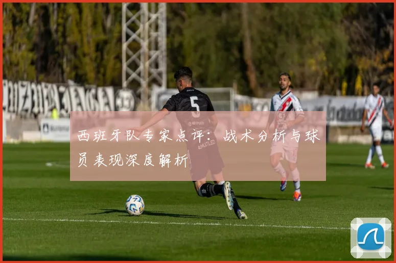 西班牙队专家点评：战术分析与球员表现深度解析