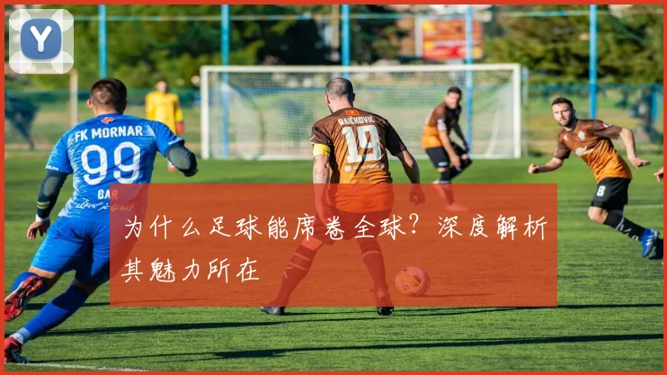 为什么足球能席卷全球?深度解析其魅力所在