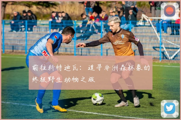 前往科特迪瓦：追寻非洲森林象的终极野生动物之旅